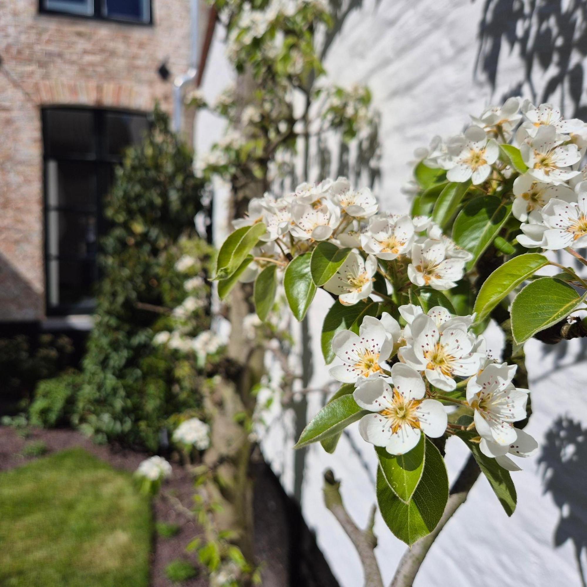 Boutique Everelmus 4* Bruges